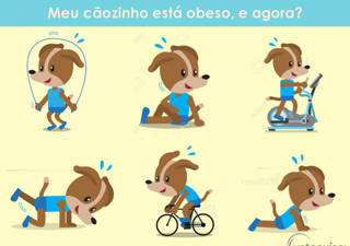 Obesidade em cães