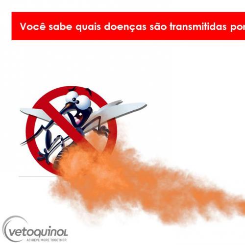 Você sabe quais doenças são transmitidas por mosquitos?