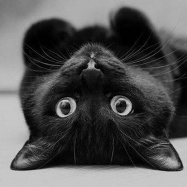 5426c9db0bef60730460376e496e0d22