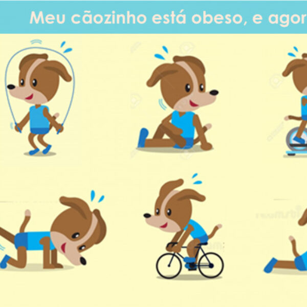 Obesidade-em-caes-07.02