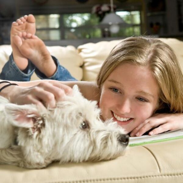 Vetoquinol-pets-seu-incrivel-poder-de-ajudar-a-saude-emocional-e-o-bem-estar-das-pessoas-foto-shutterstock