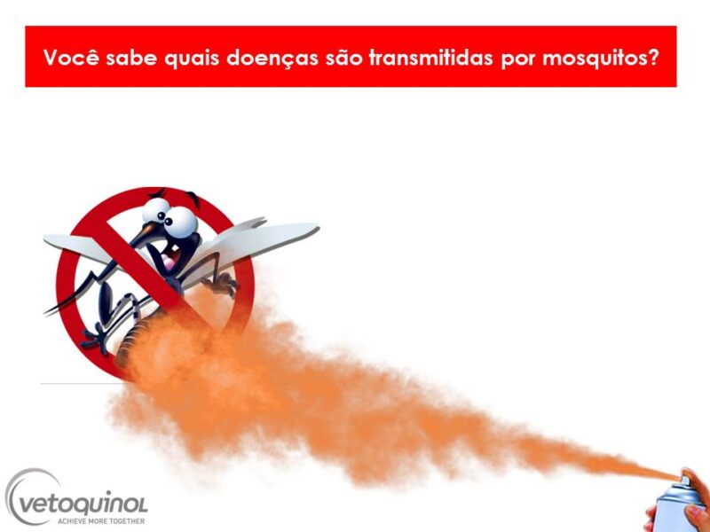 Voce-sabe-quais-doencas-sao-transmitidas-por-mosquitos-2-1