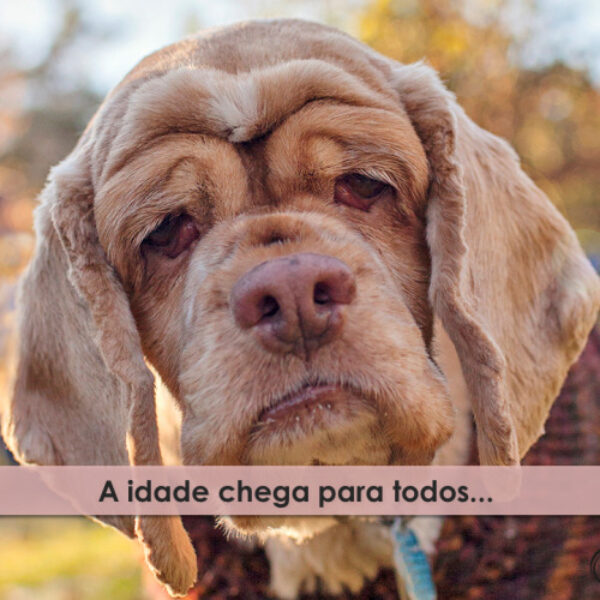 a-idade-chega-para-todos